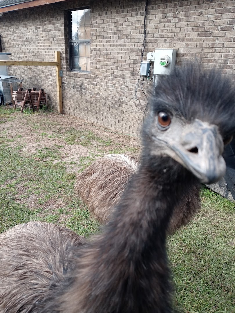 Animal and Nature Guardians' Educational Legacy