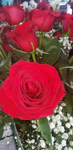 Florist «Canoga Park Florist», reviews and photos, 7144 Owensmouth Ave, Canoga Park, CA 91303, USA