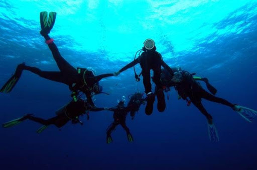 Dive Shop «A-1 Scuba & Travel Aquatic Center», reviews and photos, 1603 W Belleview Ave, Littleton, CO 80120, USA