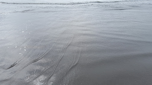 Espresso Bar «Beach Treasures Coffee and Gifts», reviews and photos, 699 Point Brown Ave NW, Ocean Shores, WA 98569, USA