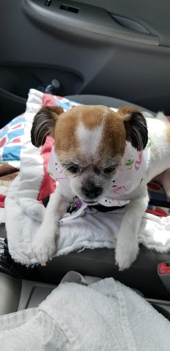 Pet Supply Store «PetSmart», reviews and photos, 10261 River Marsh Dr #143, Jacksonville, FL 32246, USA