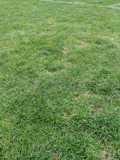 Park «Westminster City Park», reviews and photos, 10455 N Sheridan Blvd, Westminster, CO 80020, USA