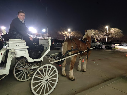 Recreation Center «Roanoke Recreation Center», reviews and photos, 501 Roanoke Rd, Roanoke, TX 76262, USA