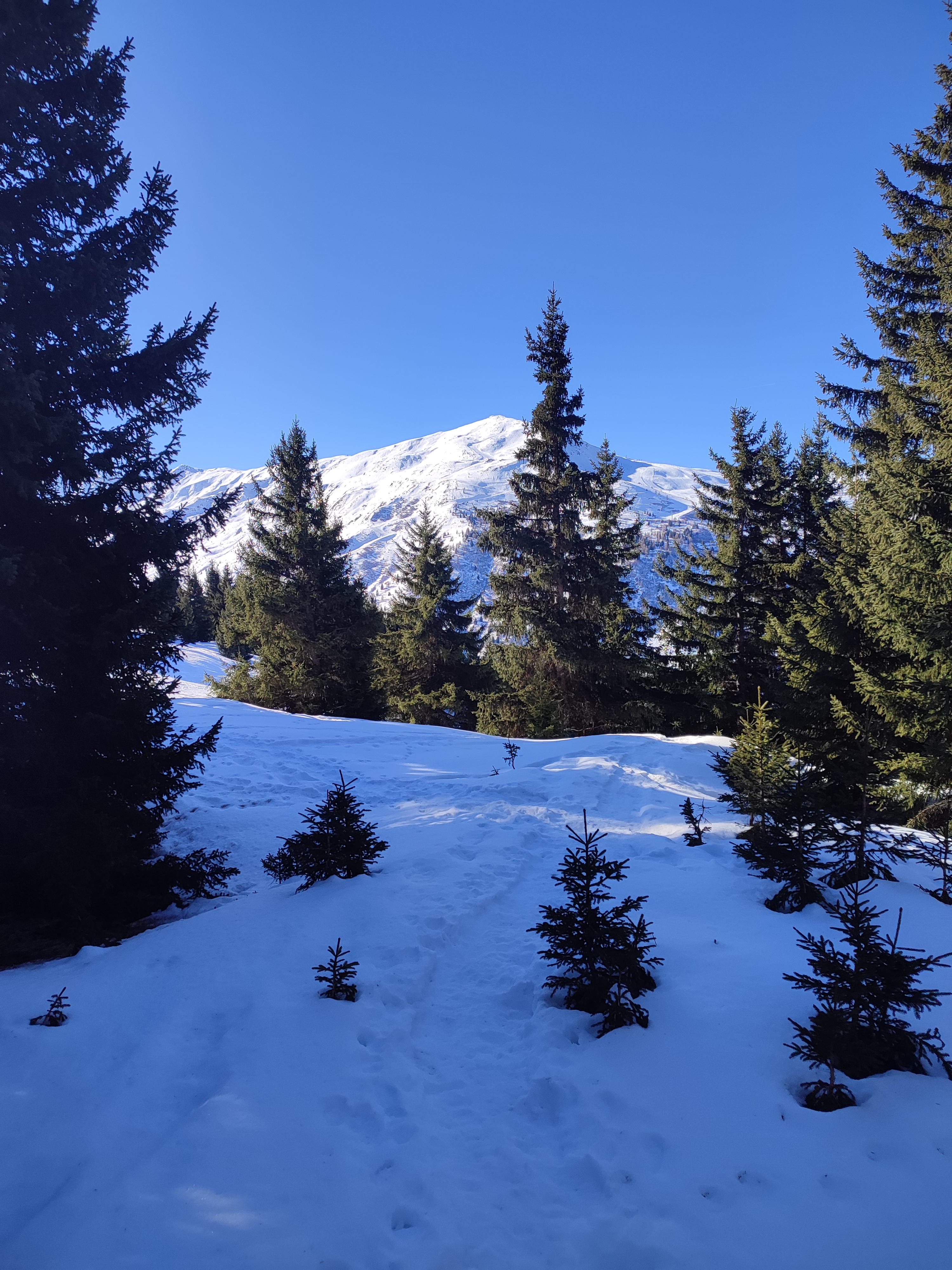 Photo n° 4 de l'avis de Vero.e fait le 19/02/2023 à 13:02