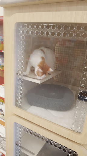 Pet Supply Store «Petco Animal Supplies», reviews and photos, 2765 Papermill Rd G-1, Reading, PA 19610, USA