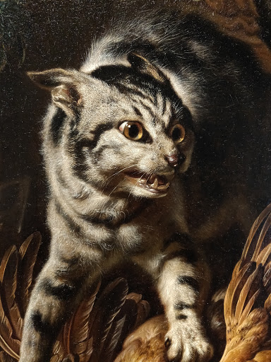 Art Museum «The Speed Art Museum», reviews and photos, 2035 S 3rd St, Louisville, KY 40208, USA