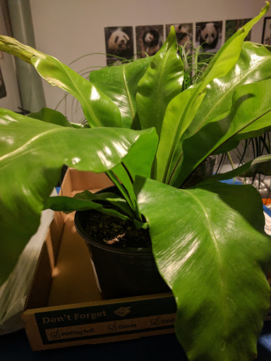 Hardware Store «Orchard Supply Hardware», reviews and photos, 2245 Gellert Blvd, South San Francisco, CA 94080, USA