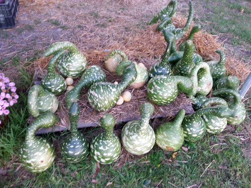 Produce Market «The Bigsby Market», reviews and photos, 1418 Dryden Rd, Freeville, NY 13068, USA