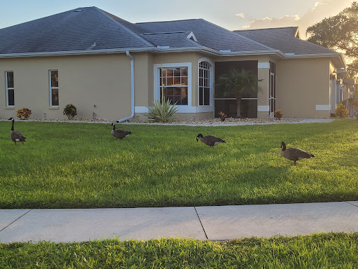 Golf Club «Tara Golf & Country Club», reviews and photos, 6602 Drewrys Bluff, Bradenton, FL 34203, USA