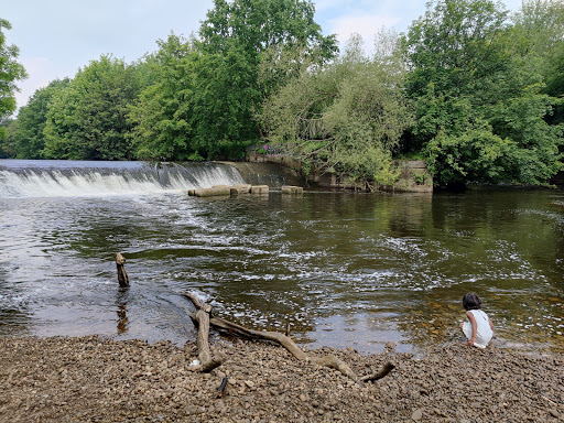 Kirkstall Valley Nature Reserve