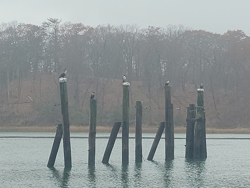 Park «Bare Cove Park», reviews and photos, Bare Cove Park Dr & Fort Hill St, Hingham, MA 02043, USA