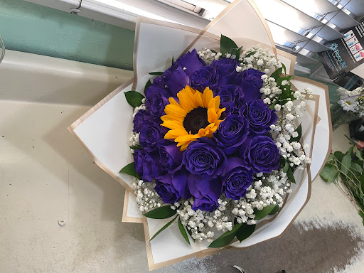More Than Roses image