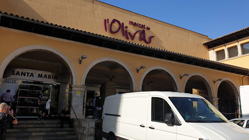 Tiendas nopal en Palma de Mallorca