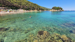 Spiaggia della Paolina'in fotoğrafı geniş ile birlikte