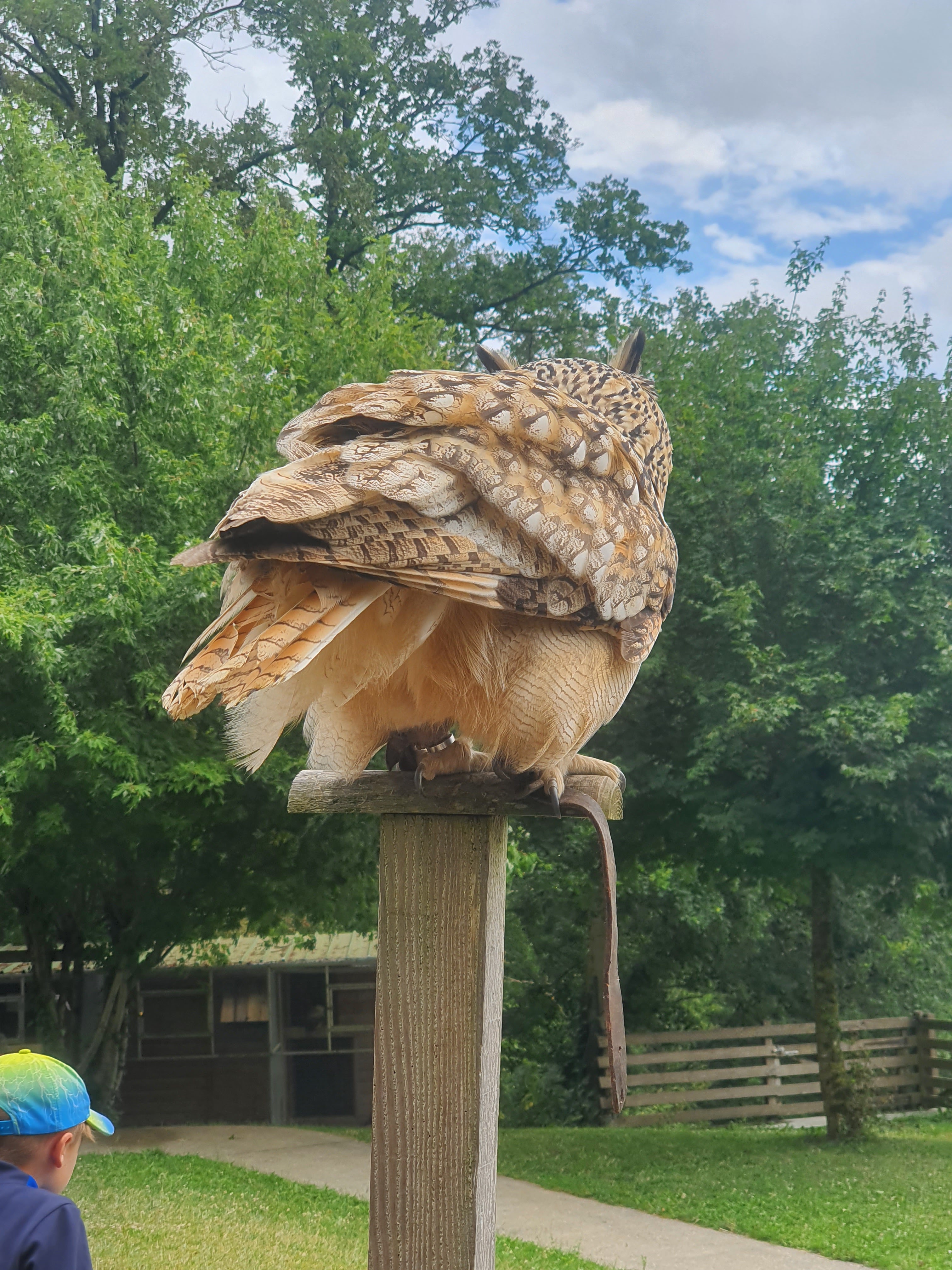 Photo n° 4 de l'avis de Mickael.e fait le 15/07/2023 à 13:18