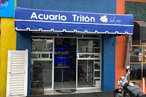 Acuario Tritón La Crespa image