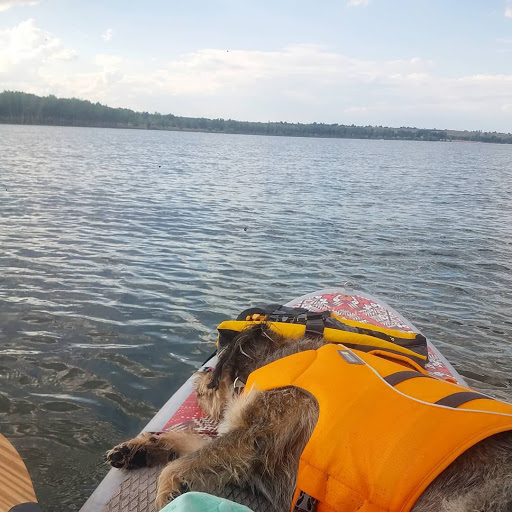 Outdoor Sports Store «Vital Outdoors», reviews and photos, 1224 Washington Ave # 125, Golden, CO 80401, USA