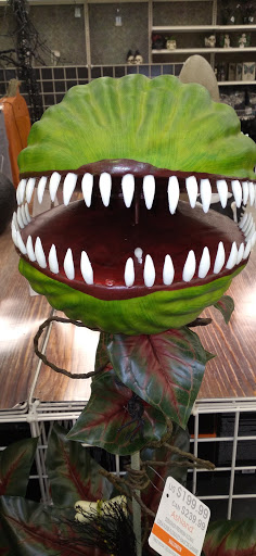 Craft Store «Michaels», reviews and photos, 1441 W Interstate 240 Service Rd, Oklahoma City, OK 73159, USA