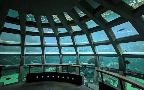 Seattle Aquarium image