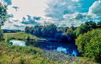 Cannock Chase AONB