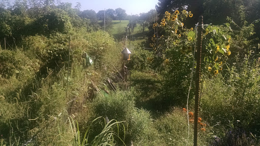 Golf Course «Mt. Lebanon Golf Course», reviews and photos, 1000 Pine Ave, Pittsburgh, PA 15234, USA