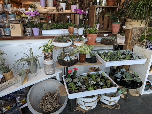 Florist «Stacy K Floral», reviews and photos, 43 Russell St, Rochester, NY 14607, USA