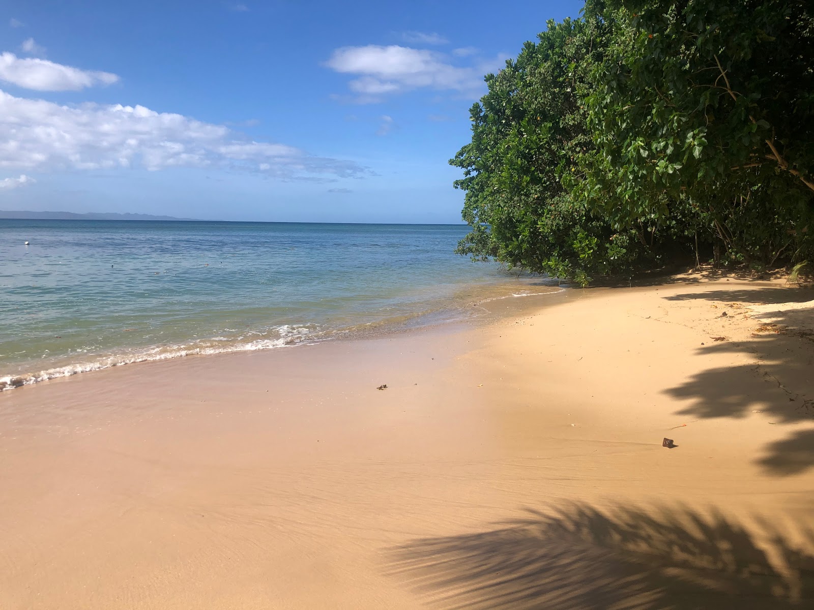 Photo de Taveuni Beach avec l'eau cristalline de surface