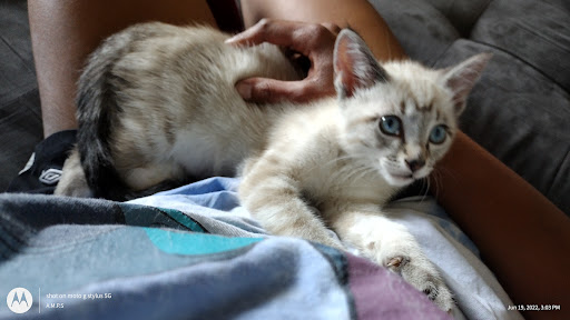 Pet Supply Store «Mud Bay», reviews and photos, 148 SW 148th St b130, Burien, WA 98166, USA