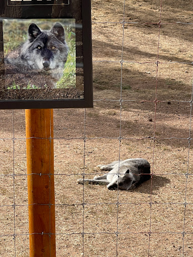 Wildlife Park «Colorado Wolf and Wildlife Center», reviews and photos, 4729 Twin Rocks Rd, Divide, CO 80814, USA