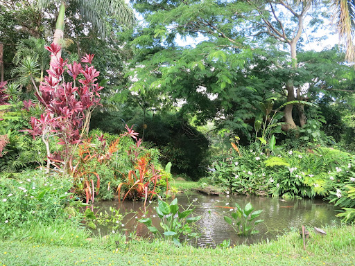 Olomana Gardens in Waimanalo, Hawaii