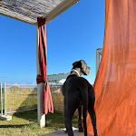 Photo n°2 de l'avis de Massimiliano.o fait le 11/08/2023 à 16:15 sur le  AGRI BEACH eden Salento à Marina di Pescoluse