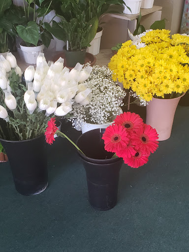 Maranatha Flowers