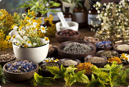 Lavender & Honey Shop, Wellness Center & Herbal Apothecary