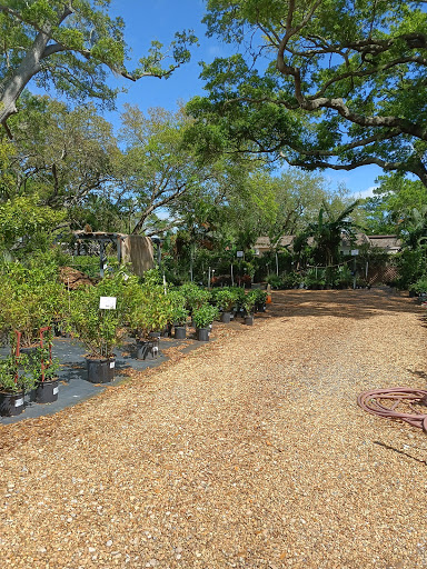 Plant Nursery «Wilcox Nursery», reviews and photos, 12501 Indian Rocks Rd, Largo, FL 33774, USA