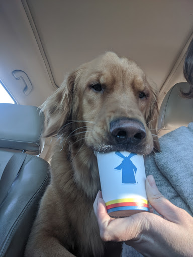 Coffee Shop «Dutch Bros Coffee», reviews and photos, 8940 SW Hall Blvd, Portland, OR 97223, USA