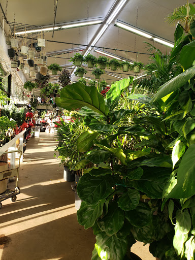 Florist «Metropolitan Plant & Flower», reviews and photos, 840 NJ-17, Paramus, NJ 07652, USA