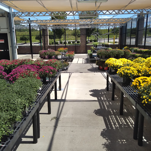 Discount Store «Walmart», reviews and photos, 2200 Holly Springs Pkwy, Holly Springs, GA 30115, USA