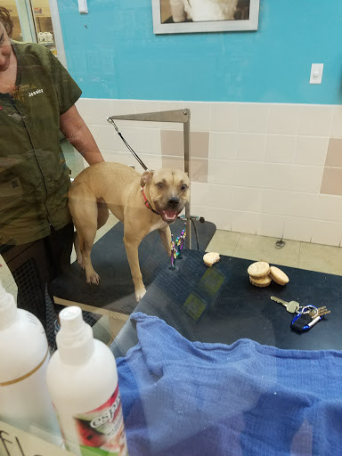 Pet Supply Store «Petco Animal Supplies», reviews and photos, 197 E Dekalb Pike #350, King of Prussia, PA 19406, USA