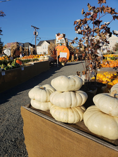 Garden Center «Nalls Produce», reviews and photos, 7310 Beulah St, Alexandria, VA 22315, USA