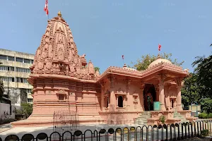 Surya Narayan Temple image