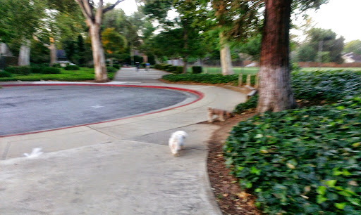 Shopping Mall «Santa Teresa Village Shopping Center», reviews and photos, 7028 Santa Teresa Blvd, San Jose, CA 95139, USA