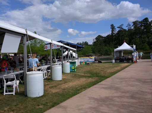 Live Music Venue «The Woodlands Waterway Arts Festival», reviews and photos, 2099 Lake Robbins Dr, The Woodlands, TX 77380, USA