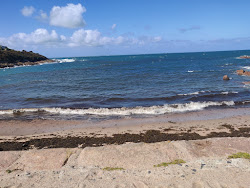 Petit Port Beach'in fotoğrafı geniş bir kıyı şeridi ile birlikte