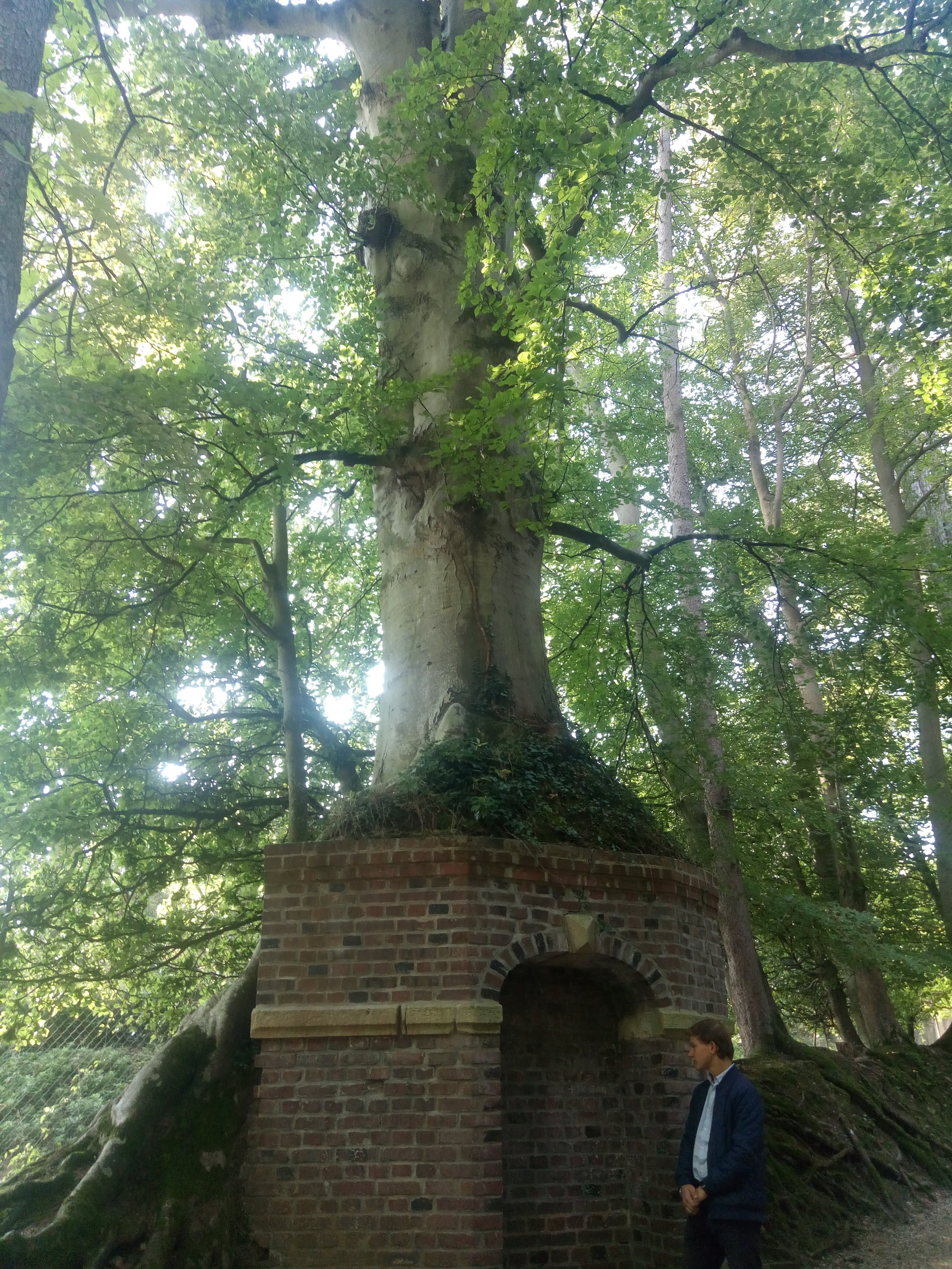 Photo n° 16 de l'avis de France.u fait le 11/10/2018 à 15:31