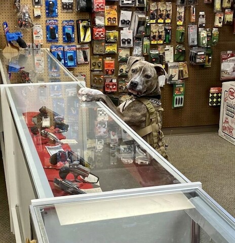 Liberty Guns & Ammo, 307 E 2nd St, Homer, IL 61849, USA, 