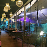 Photo n°11 de l'avis de Sabrina.. fait le 05/08/2023 à 22:43 sur le  Gut Welpe à Vechta