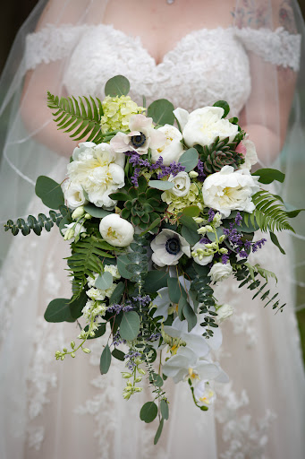 Florist «Radebaugh Florist and Greenhouses», reviews and photos, 120 Burke Ave, Towson, MD 21286, USA