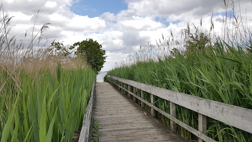 Park «Miami Beach Park», reviews and photos, 4001 Bay Dr, Middle River, MD 21220, USA