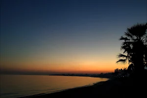 Playa de Guadalmina image