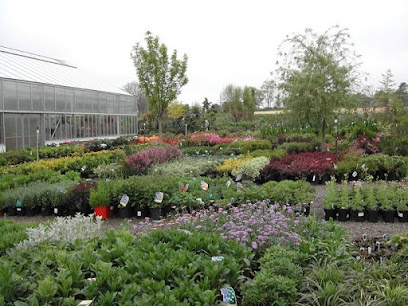 Donaldson Greenhouse & Nursery